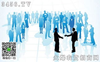 品牌整合營銷策劃 你不能不知道的核心方法與實(shí)戰(zhàn)策略